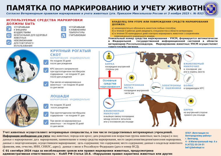 Памятка по маркированию и учету животных!.