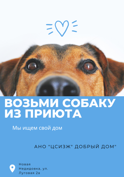Уважаемые жители Яснозоренского сельского поселения! Напоминаем о действующем законодательстве о гуманном обращении в отношении животных без владельцев.. Уважаемые жители Яснозоренского сельского поселения! Напоминаем о действующем законодательстве о гуманном обращении в отношении животных без владельцев..