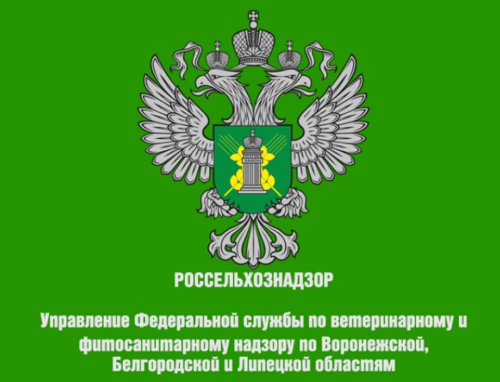 Управление Россельхознадзора по Воронежской, Белгородской и Липецкой областям сообщает. Управление Россельхознадзора по Воронежской, Белгородской и Липецкой областям сообщает.